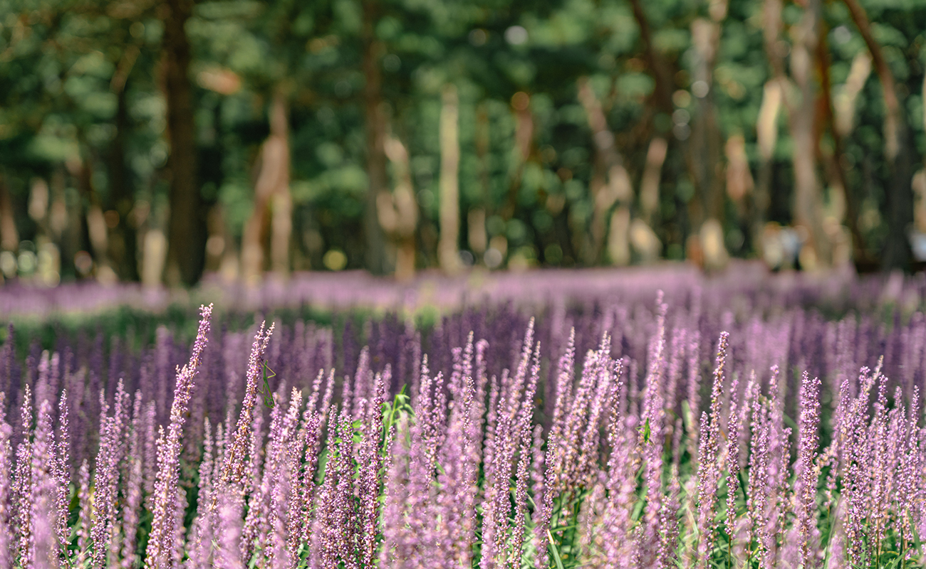 쾌적한 힐링 라이프